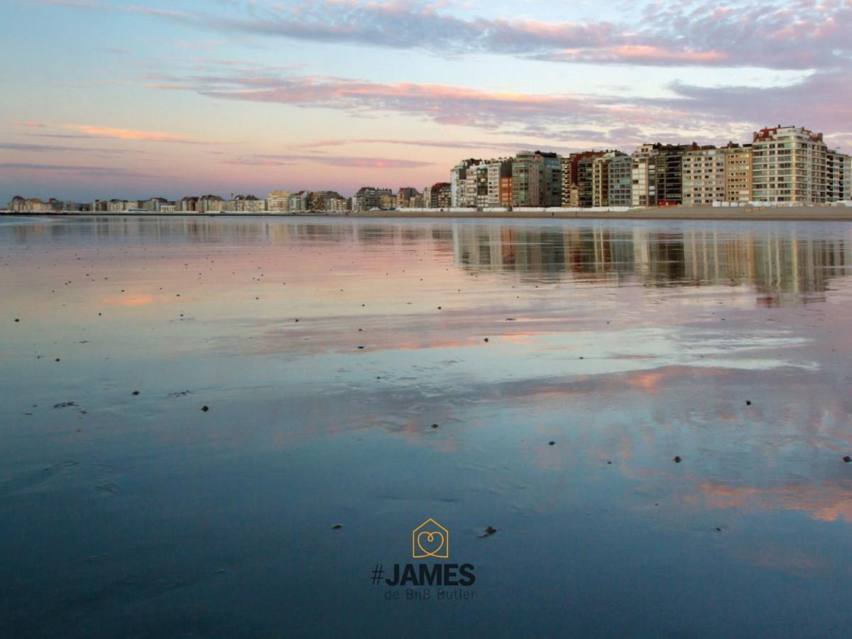 كنوك هايست Prachtig Zonnig Appartement Op 200 Van Het Strand المظهر الخارجي الصورة